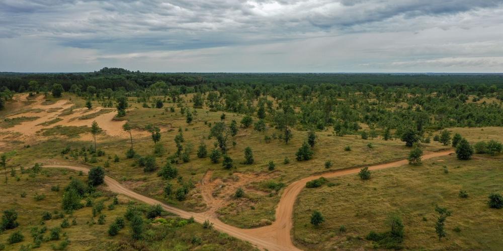 Views of Sedge Valley's Land