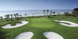Palmetto Dunes Golf Course - RTJ Oceanfront Course