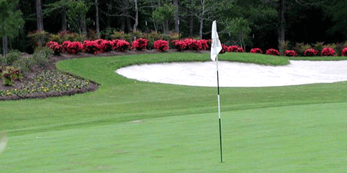 Augusta Pines