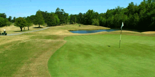 Florence Country Club