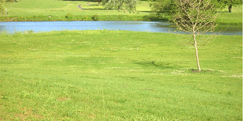 Jaycee Public Golf Course