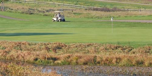 Huron Meadows Metropark