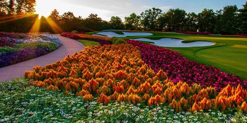 SentryWorld Golf Package