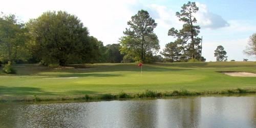 Swamp Fox Golf Club