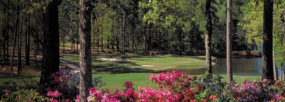 Bluejack National