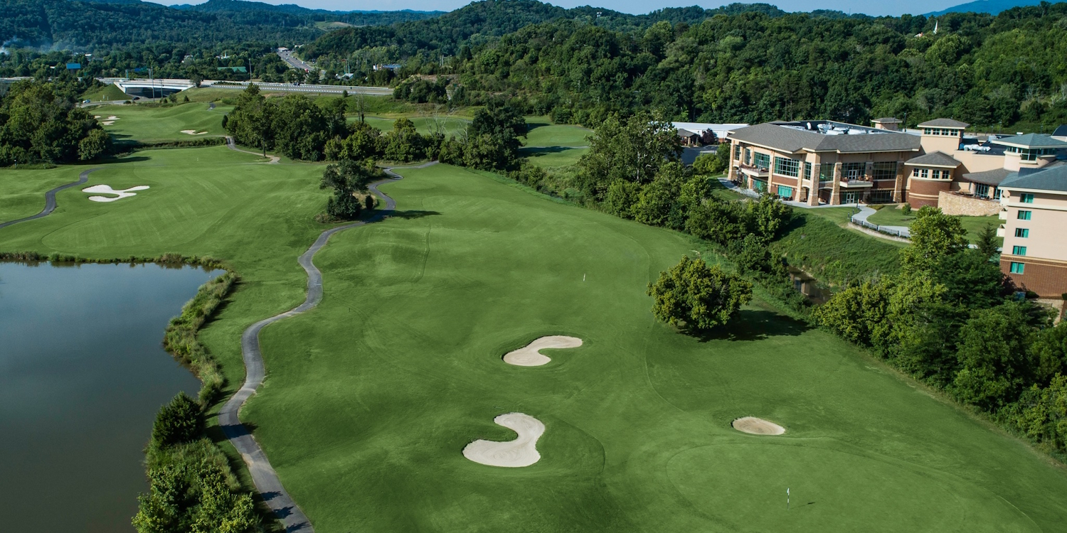 Cattails at MeadowView Golf Course