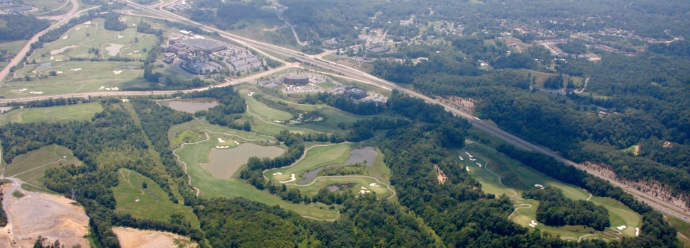 Cattails at MeadowView Golf Course
