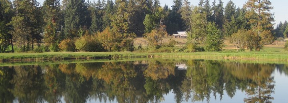 Diamond Woods Golf Course