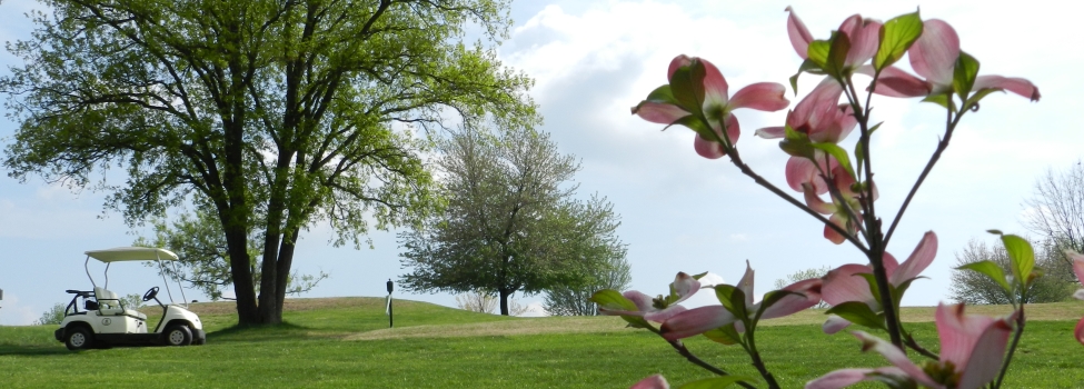 Dogwood Hills Golf Resort
