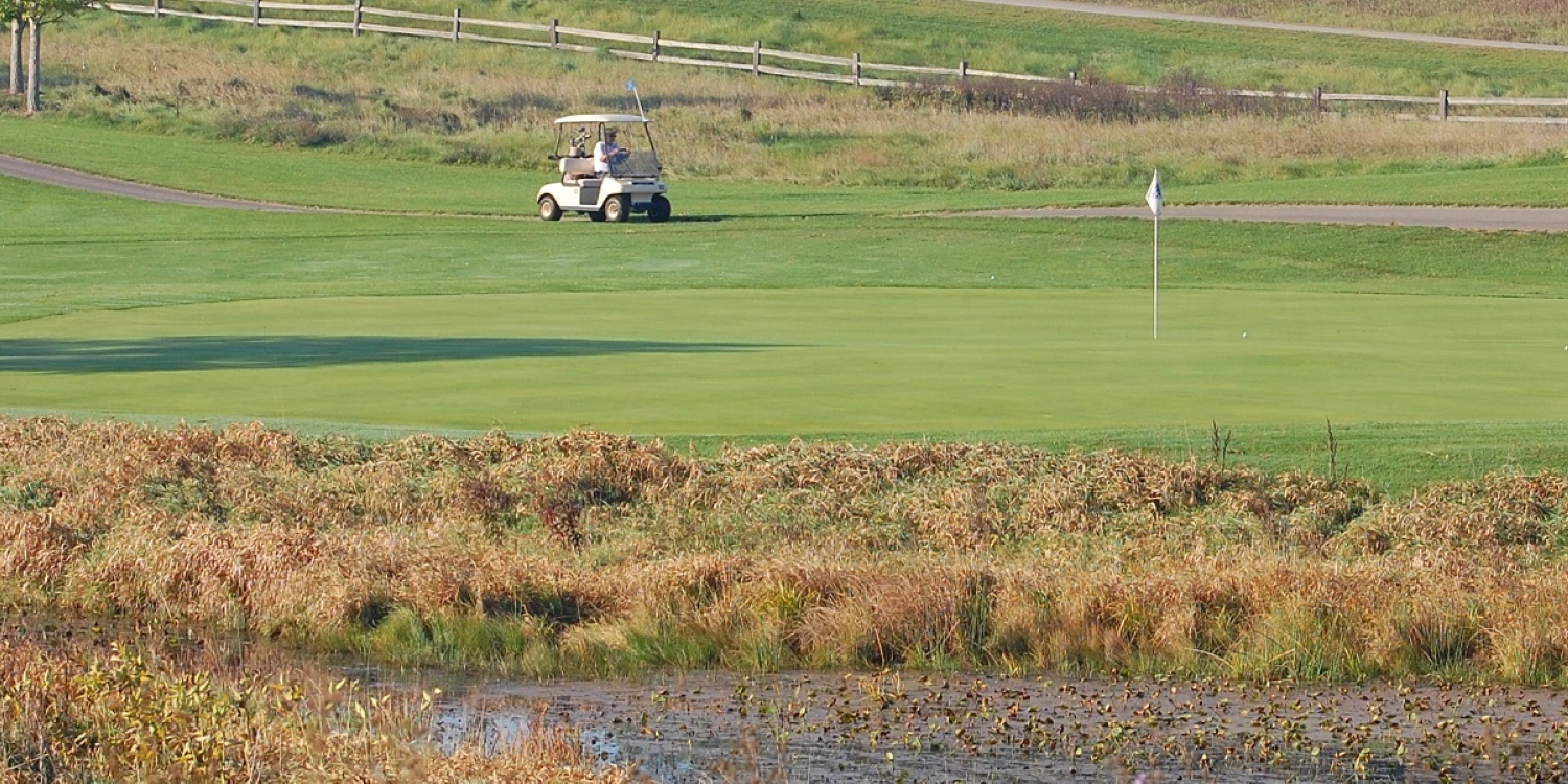 Huron Meadows Metropark