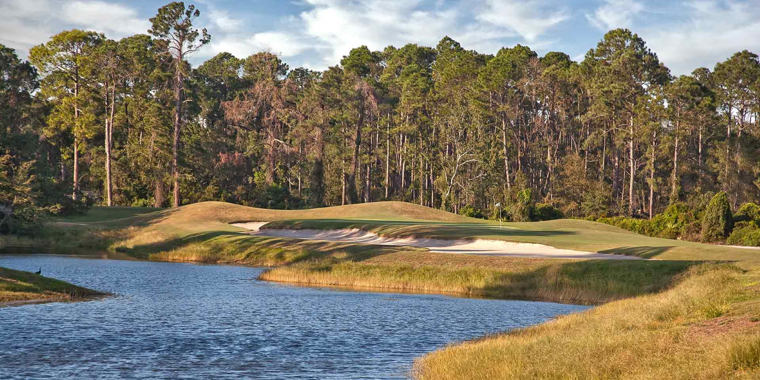 Palmetto Hall Golf and Country Club Membership